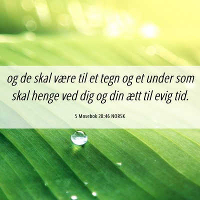 Picture 06 - 5 Mosebok 28:46 NORSK - og de skal være til et tegn og et under som skal - Bible Verse Picture