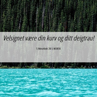 Picture 06 - 5 Mosebok 28:5 NORSK - Velsignet være din kurv og ditt - Bible Verse Picture