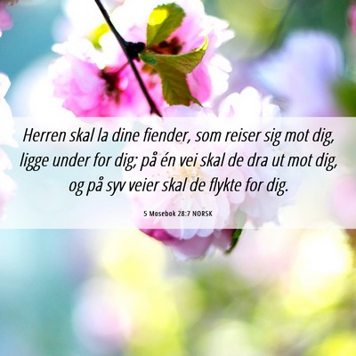 Picture 06 - 5 Mosebok 28:7 NORSK - Herren skal la dine fiender, som reiser sig mot - Bible Verse Picture