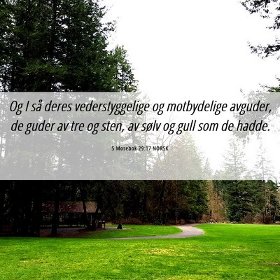 Picture 06 - 5 Mosebok 29:17 NORSK - Og I så deres vederstyggelige og motbydelige - Bible Verse Picture