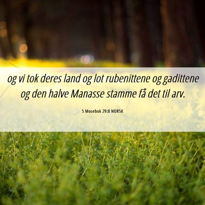 Picture 06 - 5 Mosebok 29:8 NORSK - og vi tok deres land og lot rubenittene og - Bible Verse Picture