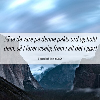 Picture 06 - 5 Mosebok 29:9 NORSK - Så ta da vare på denne pakts ord og hold dem, - Bible Verse Picture