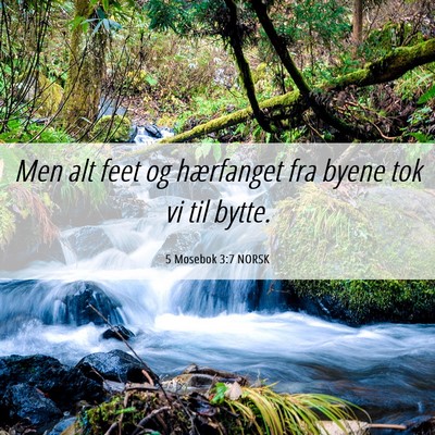 Picture 06 - 5 Mosebok 3:7 NORSK - Men alt feet og hærfanget fra byene tok vi til - Bible Verse Picture