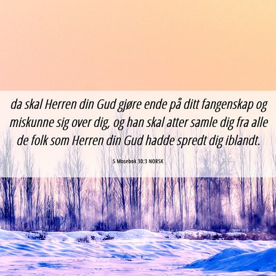 Picture 06 - 5 Mosebok 30:3 NORSK - da skal Herren din Gud gjøre ende på ditt - Bible Verse Picture