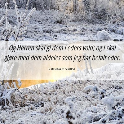 Picture 06 - 5 Mosebok 31:5 NORSK - Og Herren skal gi dem i eders vold; og I skal - Bible Verse Picture
