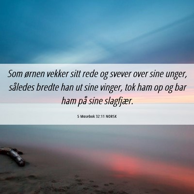 Picture 06 - 5 Mosebok 32:11 NORSK - Som ørnen vekker sitt rede og svever over sine - Bible Verse Picture