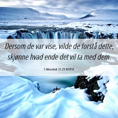 Picture 06 - 5 Mosebok 32:29 NORSK - Dersom de var vise, vilde de forstå dette, - Bible Verse Picture