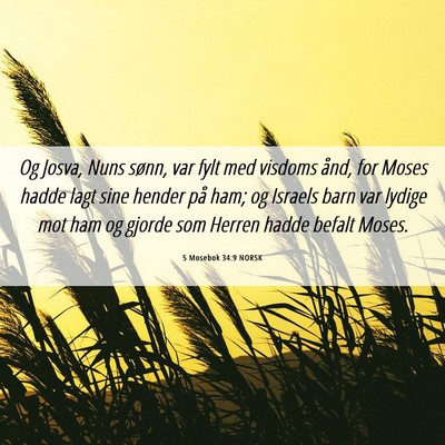 Picture 06 - 5 Mosebok 34:9 NORSK - Og Josva, Nuns sønn, var fylt med visdoms ånd, - Bible Verse Picture