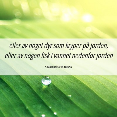 Picture 06 - 5 Mosebok 4:18 NORSK - eller av noget dyr som kryper på jorden, eller - Bible Verse Picture