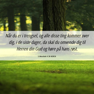 Picture 06 - 5 Mosebok 4:30 NORSK - Når du er i trengsel, og alle disse ting kommer - Bible Verse Picture