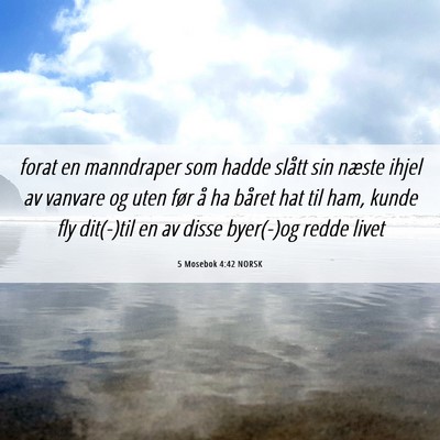Picture 06 - 5 Mosebok 4:42 NORSK - forat en manndraper som hadde slått sin næste - Bible Verse Picture