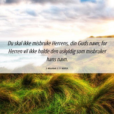 Picture 06 - 5 Mosebok 5:11 NORSK - Du skal ikke misbruke Herrens, din Guds navn; for - Bible Verse Picture