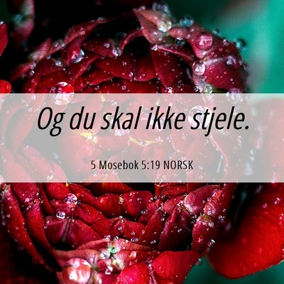 Picture 06 - 5 Mosebok 5:19 NORSK - Og du skal ikke - Bible Verse Picture