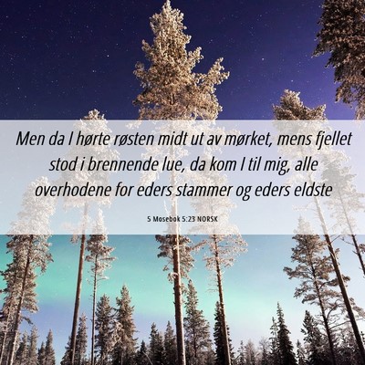 Picture 06 - 5 Mosebok 5:23 NORSK - Men da I hørte røsten midt ut av mørket, mens - Bible Verse Picture