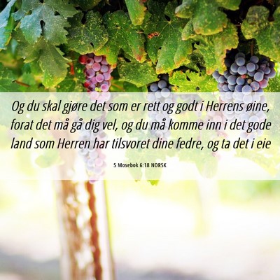 Picture 06 - 5 Mosebok 6:18 NORSK - Og du skal gjøre det som er rett og godt i - Bible Verse Picture
