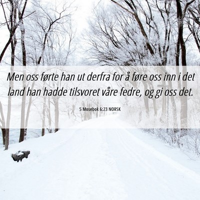 Picture 06 - 5 Mosebok 6:23 NORSK - Men oss førte han ut derfra for å føre oss inn - Bible Verse Picture