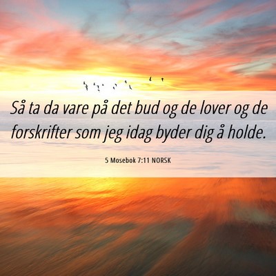 Picture 06 - 5 Mosebok 7:11 NORSK - Så ta da vare på det bud og de lover og de - Bible Verse Picture