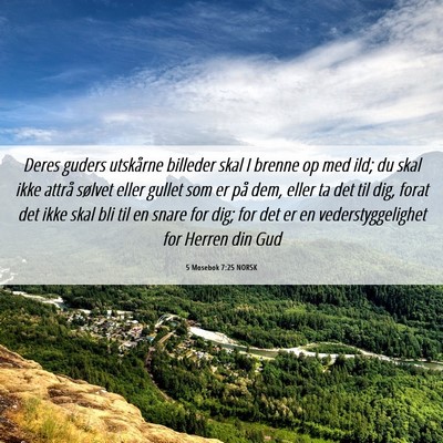 Picture 06 - 5 Mosebok 7:25 NORSK - Deres guders utskårne billeder skal I brenne op - Bible Verse Picture