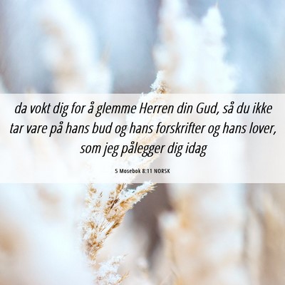 Picture 06 - 5 Mosebok 8:11 NORSK - da vokt dig for å glemme Herren din Gud, så du - Bible Verse Picture