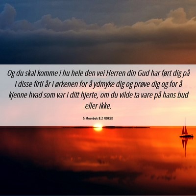Picture 06 - 5 Mosebok 8:2 NORSK - Og du skal komme i hu hele den vei Herren din Gud - Bible Verse Picture