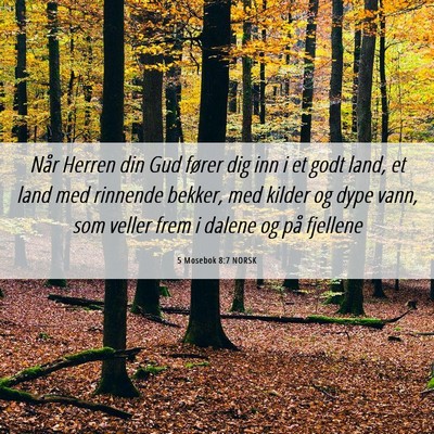 Picture 06 - 5 Mosebok 8:7 NORSK - Når Herren din Gud fører dig inn i et godt - Bible Verse Picture