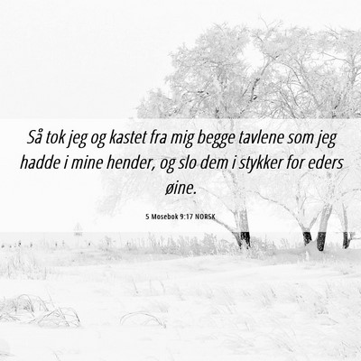 Picture 06 - 5 Mosebok 9:17 NORSK - Så tok jeg og kastet fra mig begge tavlene som - Bible Verse Picture