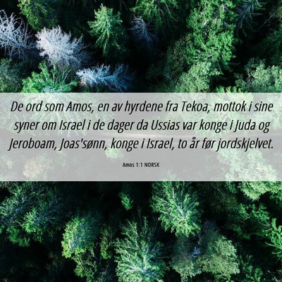 Picture 06 - Amos 1:1 NORSK - De ord som Amos, en av hyrdene fra Tekoa, mottok - Bible Verse Picture