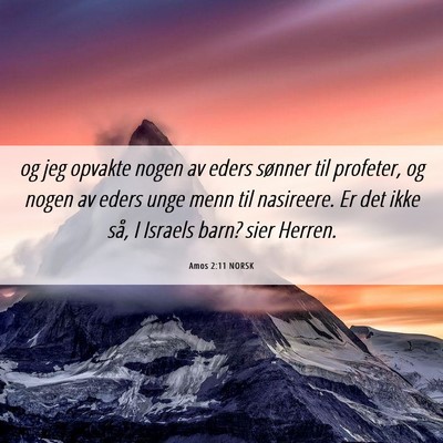 Picture 06 - Amos 2:11 NORSK - og jeg opvakte nogen av eders sønner til - Bible Verse Picture