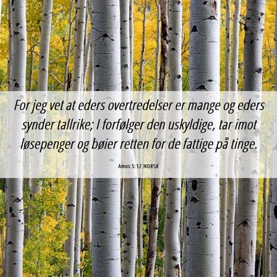 Picture 06 - Amos 5:12 NORSK - For jeg vet at eders overtredelser er mange og - Bible Verse Picture