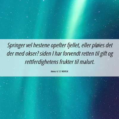 Picture 06 - Amos 6:12 NORSK - Springer vel hestene opefter fjellet, eller - Bible Verse Picture