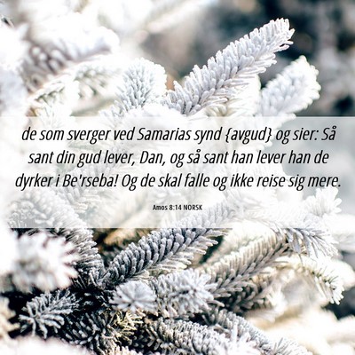 Picture 06 - Amos 8:14 NORSK - de som sverger ved Samarias synd {avgud} og sier: - Bible Verse Picture