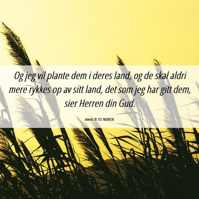 Picture 06 - Amos 9:15 NORSK - Og jeg vil plante dem i deres land, og de skal - Bible Verse Picture