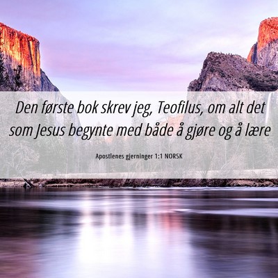Picture 06 - Apostlenes gjerninger 1:1 NORSK - Den første bok skrev jeg, Teofilus, om alt det - Bible Verse Picture