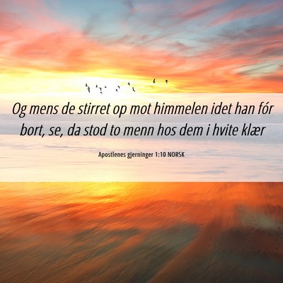 Picture 06 - Apostlenes gjerninger 1:10 NORSK - Og mens de stirret op mot himmelen idet han fór - Bible Verse Picture