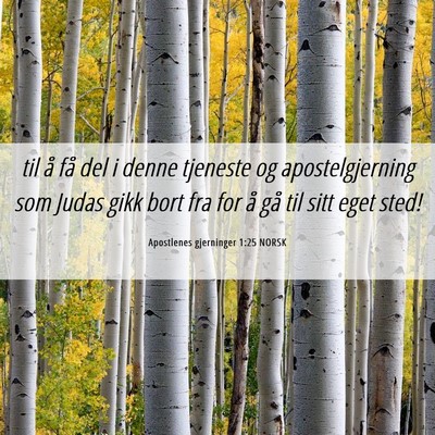 Picture 06 - Apostlenes gjerninger 1:25 NORSK - til å få del i denne tjeneste og - Bible Verse Picture