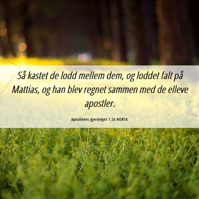 Picture 06 - Apostlenes gjerninger 1:26 NORSK - Så kastet de lodd mellem dem, og loddet falt på - Bible Verse Picture