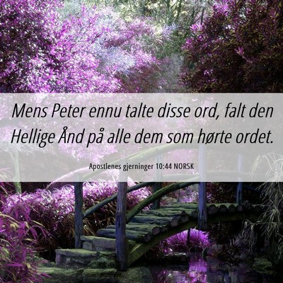 Picture 06 - Apostlenes gjerninger 10:44 NORSK - Mens Peter ennu talte disse ord, falt den Hellige - Bible Verse Picture