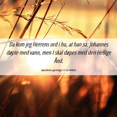 Picture 06 - Apostlenes gjerninger 11:16 NORSK - Da kom jeg Herrens ord i hu, at han sa: Johannes - Bible Verse Picture
