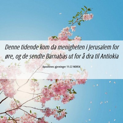 Picture 06 - Apostlenes gjerninger 11:22 NORSK - Denne tidende kom da menigheten i Jerusalem for - Bible Verse Picture