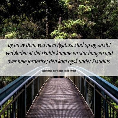 Picture 06 - Apostlenes gjerninger 11:28 NORSK - og en av dem, ved navn Agabus, stod op og varslet - Bible Verse Picture
