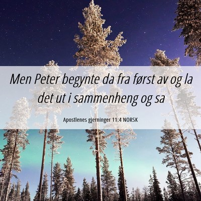 Picture 06 - Apostlenes gjerninger 11:4 NORSK - Men Peter begynte da fra først av og la det ut i - Bible Verse Picture