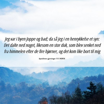 Picture 06 - Apostlenes gjerninger 11:5 NORSK - Jeg var i byen Joppe og bad; da så jeg i en - Bible Verse Picture