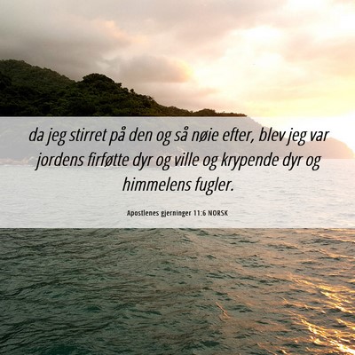 Picture 06 - Apostlenes gjerninger 11:6 NORSK - da jeg stirret på den og så nøie efter, blev - Bible Verse Picture