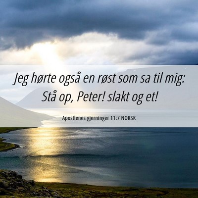 Picture 06 - Apostlenes gjerninger 11:7 NORSK - Jeg hørte også en røst som sa til mig: Stå - Bible Verse Picture
