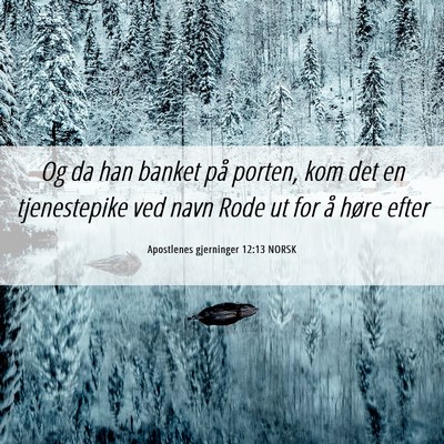 Picture 06 - Apostlenes gjerninger 12:13 NORSK - Og da han banket på porten, kom det en - Bible Verse Picture
