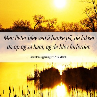 Picture 06 - Apostlenes gjerninger 12:16 NORSK - Men Peter blev ved å banke på, de lukket da op - Bible Verse Picture