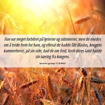 Picture 06 - Apostlenes gjerninger 12:20 NORSK - Han var meget forbitret på tyrierne og - Bible Verse Picture