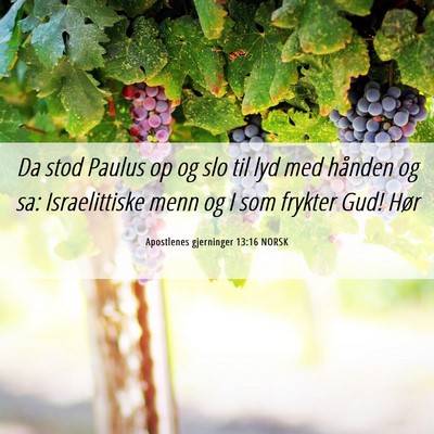 Picture 06 - Apostlenes gjerninger 13:16 NORSK - Da stod Paulus op og slo til lyd med hånden og - Bible Verse Picture