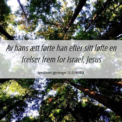 Picture 06 - Apostlenes gjerninger 13:23 NORSK - Av hans ætt førte han efter sitt løfte en - Bible Verse Picture