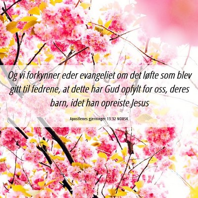 Picture 06 - Apostlenes gjerninger 13:32 NORSK - Og vi forkynner eder evangeliet om det løfte som - Bible Verse Picture